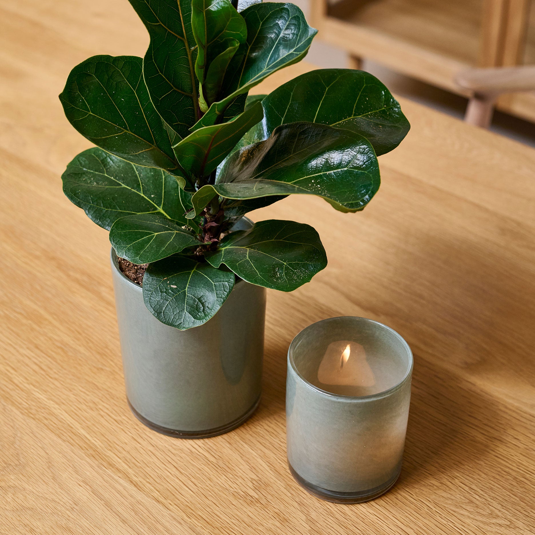 Ocean fyrfadsstage H14,5 cm